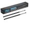Liftgate Lift Support Set