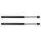 Lift Support Set