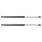 Lift Support Set