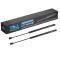 Hood Lift Support Set