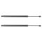Lift Support Set
