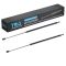 Hood Lift Support Set