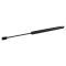 Liftgate Lift Support Set