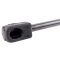 Liftgate Lift Support Set