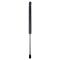 Liftgate Lift Support Set