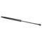 Liftgate Lift Support Set