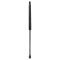 Liftgate Lift Support Set
