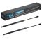 Liftgate Lift Support Set