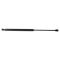 Liftgate Lift Support Set