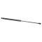 Liftgate Lift Support Set