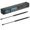 Liftgate Lift Support Set