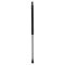 Liftgate Lift Support Set