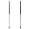 Liftgate Lift Support Set