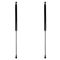 Liftgate Lift Support Set