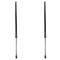 Liftgate Lift Support Set