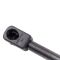 Liftgate Lift Support Set
