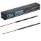 Hood Lift Support Set