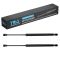 Liftgate Lift Support Set