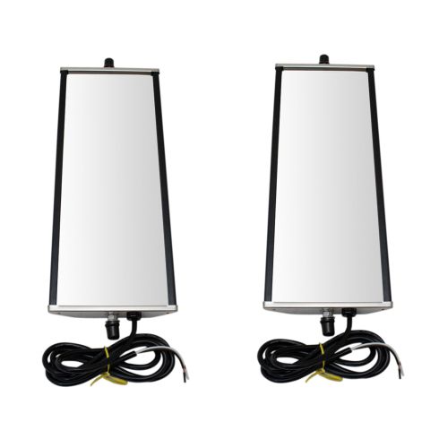 Mirror Pair