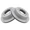 Performance Brake Rotor Pair