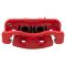 Performance Brake Kit with Calipers and Hoses