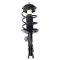 Strut & Spring Assembly Set