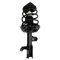Front Strut & Spring Assembly Pair