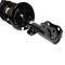 Front Strut Spring Assembly Pair