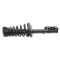 Strut & Spring Assembly