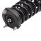 Strut & Spring Assembly