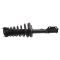 Strut & Spring Assembly