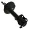 Strut Assembly