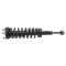 Strut & Spring Assembly