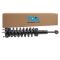 Strut & Spring Assembly