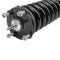 Strut & Spring Assembly