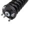 Strut & Spring Assembly
