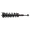 Strut & Spring Assembly