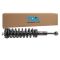 Strut & Spring Assembly