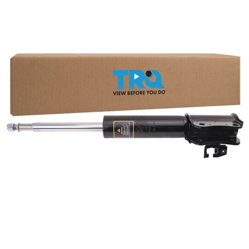 Strut Assembly