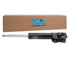 Strut Assembly