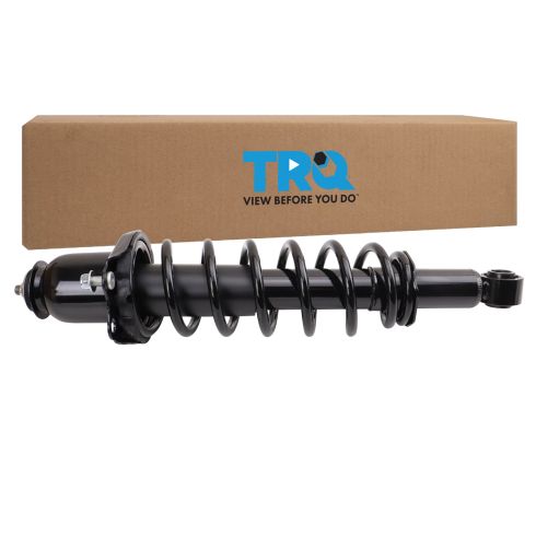 Strut & Spring Assembly