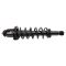 Strut & Spring Assembly