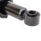 Strut & Spring Assembly