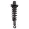 Strut & Spring Assembly