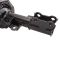 Strut & Spring Assembly