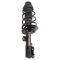 Strut & Spring Assembly