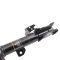 Strut & Spring Assembly