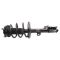 Strut & Spring Assembly