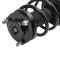 Strut & Spring Assembly