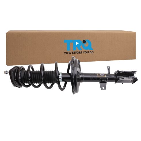 Strut & Spring Assembly